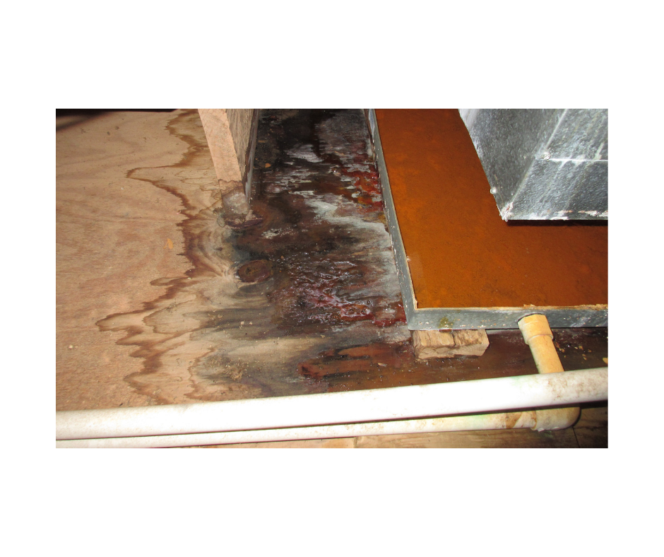 Water damage restoration